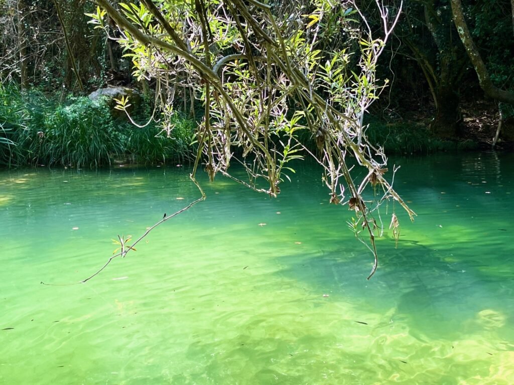 Polylimnio Waterfall